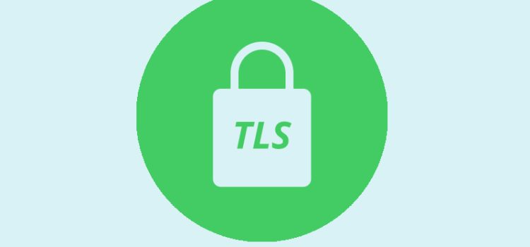 TLS Handshake error VLESS