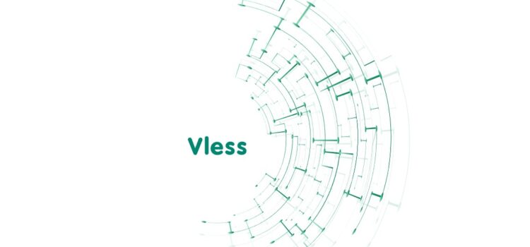 XTLS Vision в VLESS: что такое flow и как он работает