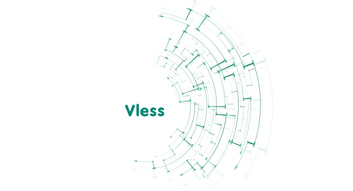 XTLS Vision в VLESS: что такое flow и как он работает